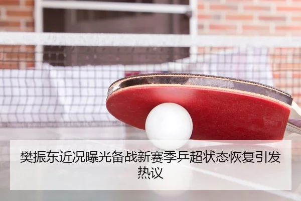 樊振东近况曝光备战新赛季乒超状态恢复引发热议